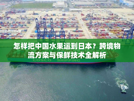 怎样把中国水果运到日本？跨境物流方案与保鲜技术全解析