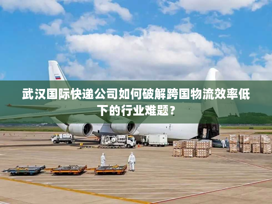 武汉国际快递公司如何破解跨国物流效率低下的行业难题? 武汉国际快递公司如何破解跨国物流效率低下的行业难题?