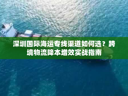 深圳国际海运专线渠道如何选?跨境物流降本增效实战指南 深圳国际海运专线渠道如何选?跨境物流降本增效实战指南