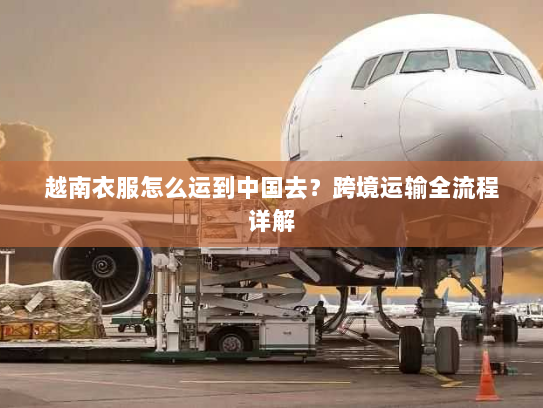 越南衣服怎么运到中国去？跨境运输全流程详解