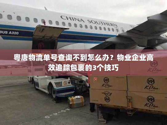 粤唐物流单号查询不到怎么办?物业企业高效追踪包裹的3个技巧 粤唐物流单号查询不到怎么办?物业企业高效追踪包裹的3个技巧