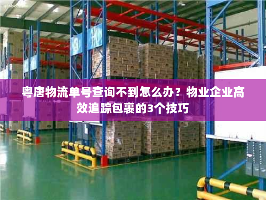 粤唐物流单号查询不到怎么办?物业企业高效追踪包裹的3个技巧 粤唐物流单号查询不到怎么办?物业企业高效追踪包裹的3个技巧