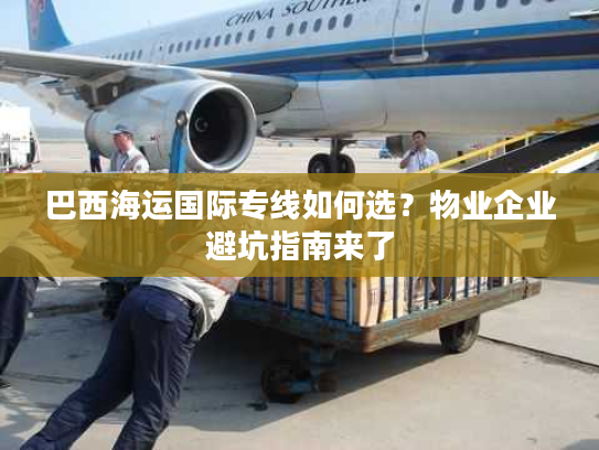 巴西海运国际专线如何选？物业企业避坑指南来了