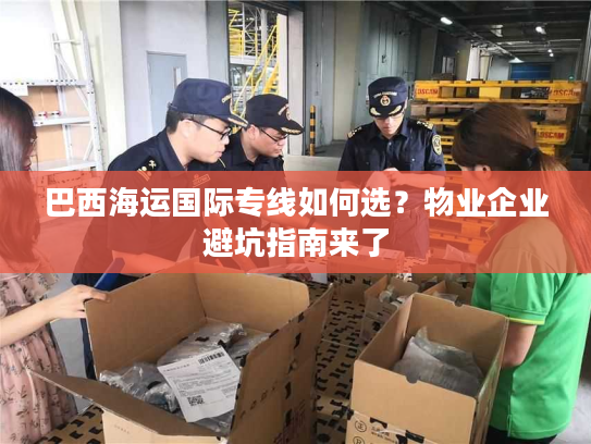巴西海运国际专线如何选？物业企业避坑指南来了