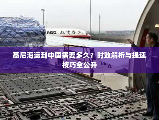 悉尼海运到中国需要多久?时效解析与提速技巧全公开 悉尼海运到中国需要多久?时效解析与提速技巧全公开