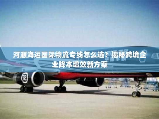 河源海运国际物流专线怎么选？揭秘跨境企业降本增效新方案