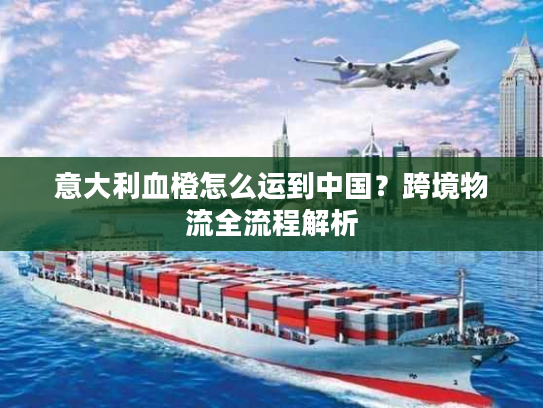 意大利血橙怎么运到中国？跨境物流全流程解析