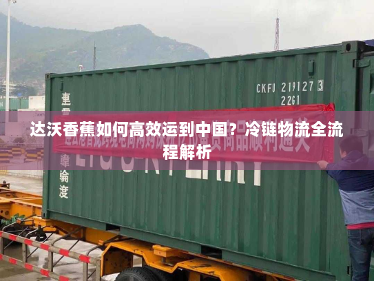 达沃香蕉如何高效运到中国?冷链物流全流程解析 达沃香蕉如何高效运到中国?冷链物流全流程解析