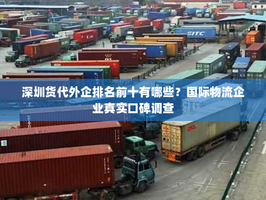 深圳货代外企排名前十有哪些?国际物流企业真实口碑调查 深圳货代外企排名前十有哪些?国际物流企业真实口碑调查