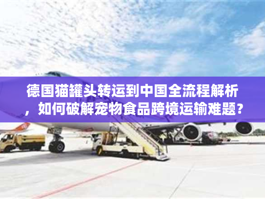 德国猫罐头转运到中国全流程解析，如何破解宠物食品跨境运输难题？