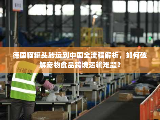 德国猫罐头转运到中国全流程解析,如何破解宠物食品跨境运输难题? 德国猫罐头转运到中国全流程解析,如何破解宠物食品跨境运输难题?