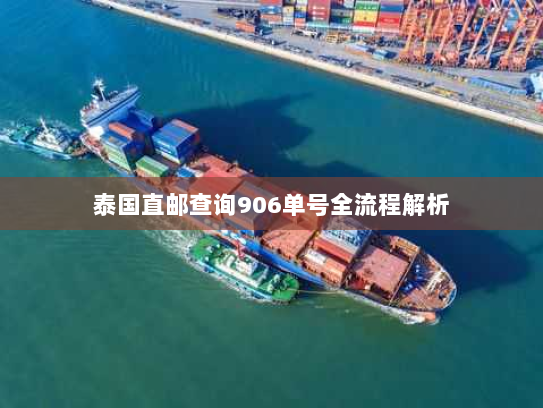 泰国直邮查询906单号全流程解析