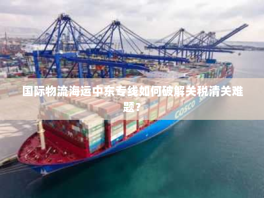 国际物流海运中东专线如何破解关税清关难题？