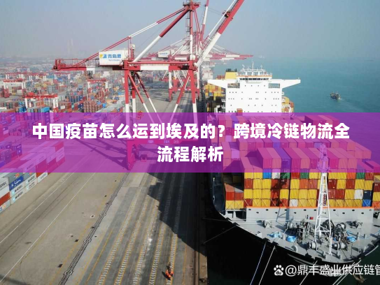 中国疫苗怎么运到埃及的？跨境冷链物流全流程解析