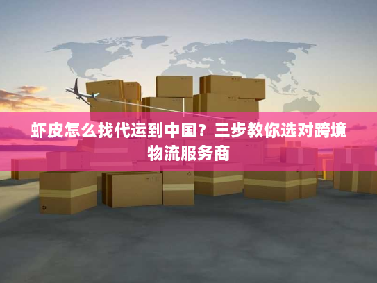 虾皮怎么找代运到中国？三步教你选对跨境物流服务商