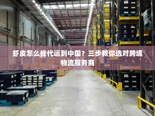 虾皮怎么找代运到中国？三步教你选对跨境物流服务商