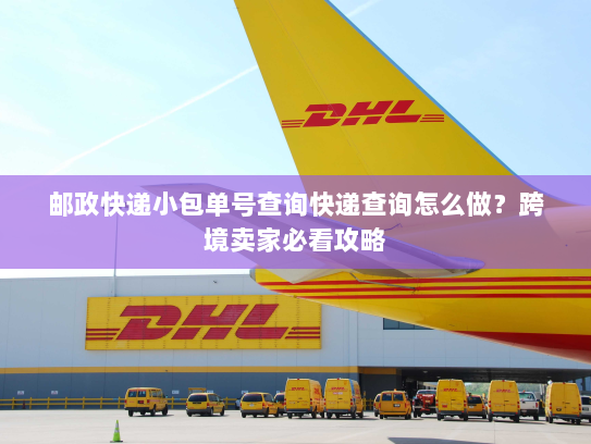 邮政快递小包单号查询快递查询怎么做?跨境卖家必看攻略 邮政快递小包单号查询快递查询怎么做?跨境卖家必看攻略