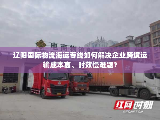 辽阳国际物流海运专线如何解决企业跨境运输成本高、时效慢难题? 辽阳国际物流海运专线如何解决企业跨境运输成本高、时效慢难题?