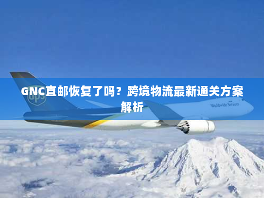 GNC直邮恢复了吗?跨境物流最新通关方案解析 GNC直邮恢复了吗?跨境物流最新通关方案解析