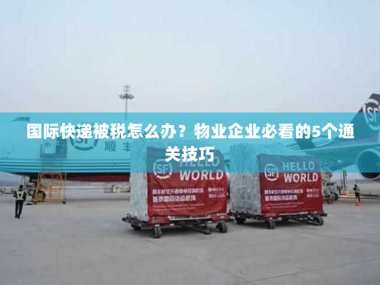 国际快递被税怎么办？物业企业必看的5个通关技巧
