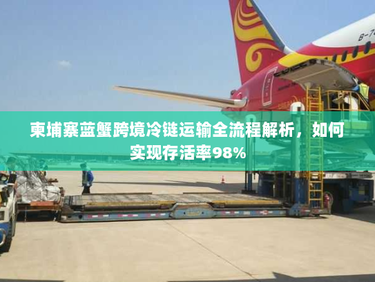 柬埔寨蓝蟹跨境冷链运输全流程解析，如何实现存活率98%