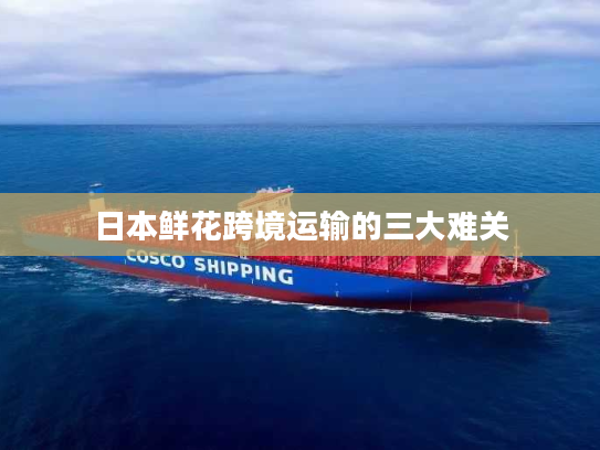 日本鲜花跨境运输的三大难关