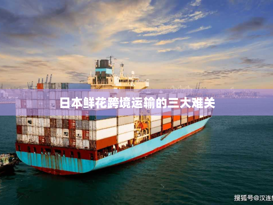 日本鲜花跨境运输的三大难关 日本鲜花跨境运输的三大难关
