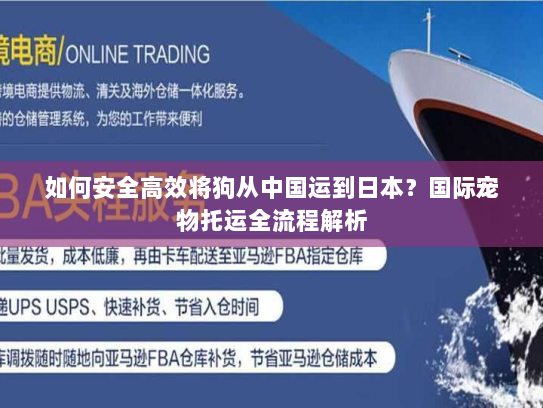 如何安全高效将狗从中国运到日本？国际宠物托运全流程解析