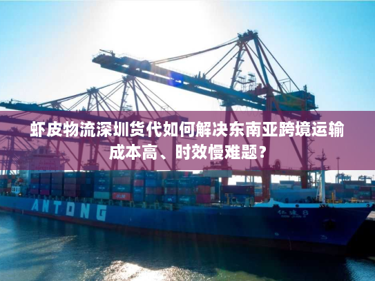 虾皮物流深圳货代如何解决东南亚跨境运输成本高、时效慢难题? 虾皮物流深圳货代如何解决东南亚跨境运输成本高、时效慢难题?