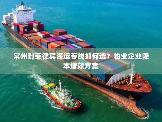 常州到菲律宾海运专线如何选？物业企业降本增效方案