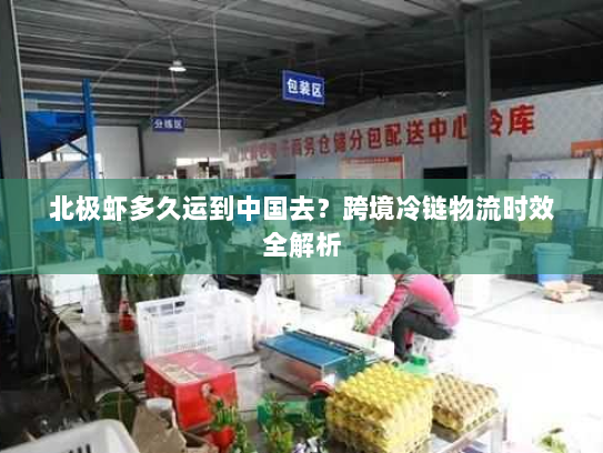 北极虾多久运到中国去？跨境冷链物流时效全解析