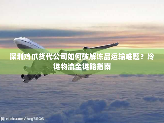 深圳鸡爪货代公司如何破解冻品运输难题?冷链物流全链路指南 深圳鸡爪货代公司如何破解冻品运输难题?冷链物流全链路指南