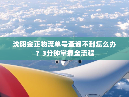 沈阳金正物流单号查询不到怎么办?3分钟掌握全流程 沈阳金正物流单号查询不到怎么办?3分钟掌握全流程
