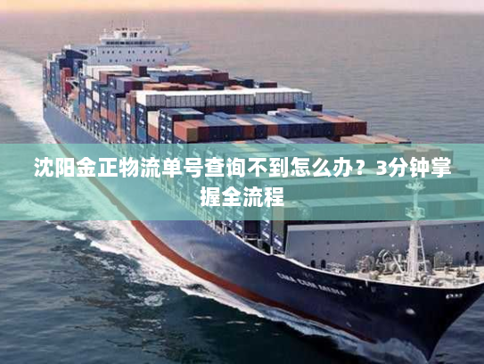 沈阳金正物流单号查询不到怎么办?3分钟掌握全流程 沈阳金正物流单号查询不到怎么办?3分钟掌握全流程