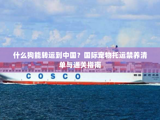 什么狗能转运到中国?国际宠物托运禁养清单与通关指南 什么狗能转运到中国?国际宠物托运禁养清单与通关指南
