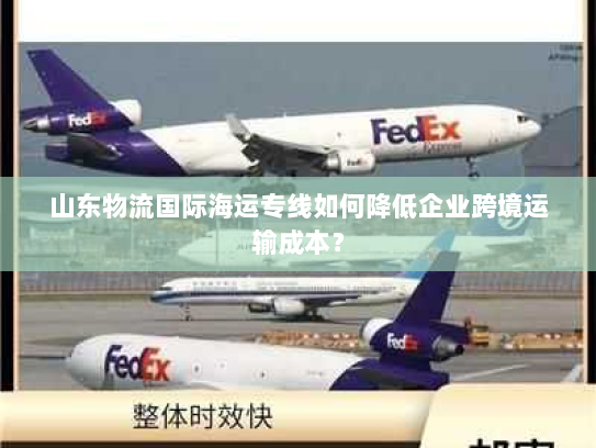 山东物流国际海运专线如何降低企业跨境运输成本? 山东物流国际海运专线如何降低企业跨境运输成本?