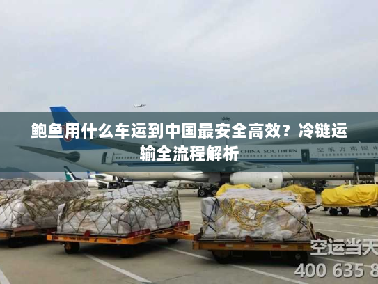 鲍鱼用什么车运到中国最安全高效?冷链运输全流程解析 鲍鱼用什么车运到中国最安全高效?冷链运输全流程解析