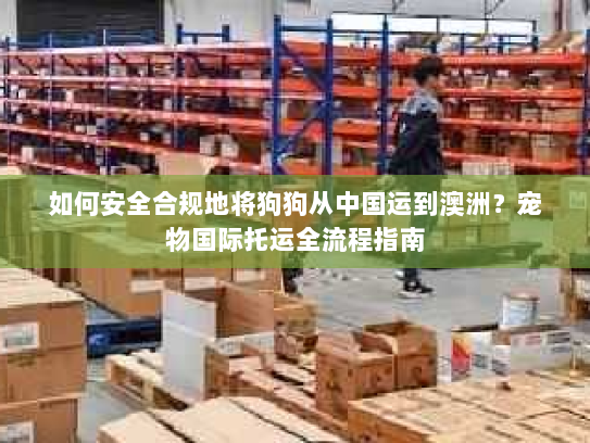 如何安全合规地将狗狗从中国运到澳洲?宠物国际托运全流程指南 如何安全合规地将狗狗从中国运到澳洲?宠物国际托运全流程指南