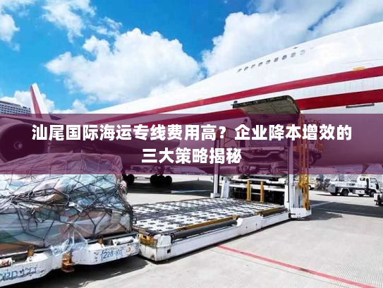 汕尾国际海运专线费用高？企业降本增效的三大策略揭秘