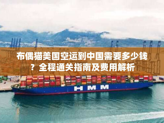 布偶猫美国空运到中国需要多少钱？全程通关指南及费用解析