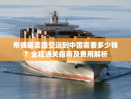 布偶猫美国空运到中国需要多少钱？全程通关指南及费用解析