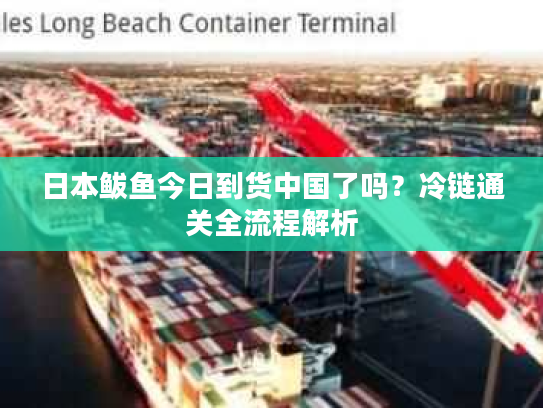 日本鲅鱼今日到货中国了吗？冷链通关全流程解析