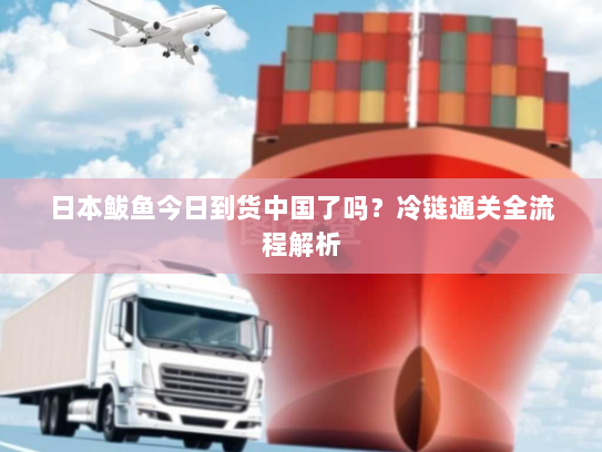 日本鲅鱼今日到货中国了吗?冷链通关全流程解析 日本鲅鱼今日到货中国了吗?冷链通关全流程解析