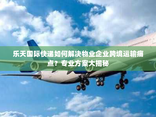 乐天国际快递如何解决物业企业跨境运输痛点？专业方案大揭秘