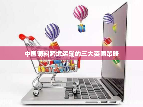 中国调料跨境运输的三大突围策略