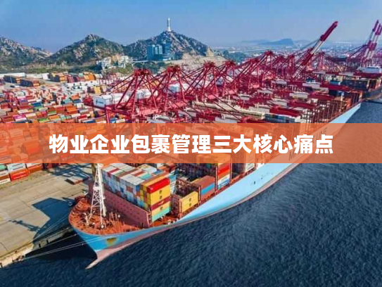 物业企业包裹管理三大核心痛点