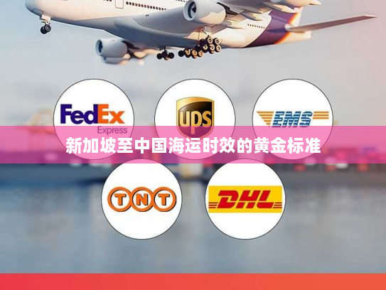 新加坡至中国海运时效的黄金标准 新加坡至中国海运时效的黄金标准