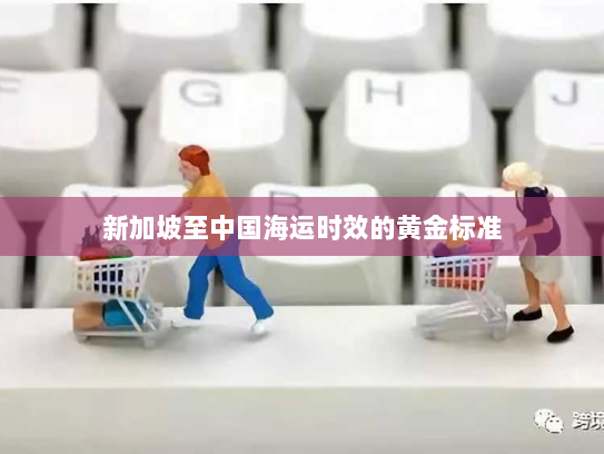 新加坡至中国海运时效的黄金标准 新加坡至中国海运时效的黄金标准