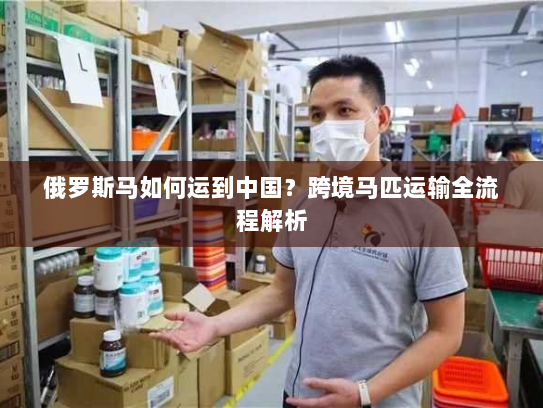 俄罗斯马如何运到中国?跨境马匹运输全流程解析 俄罗斯马如何运到中国?跨境马匹运输全流程解析