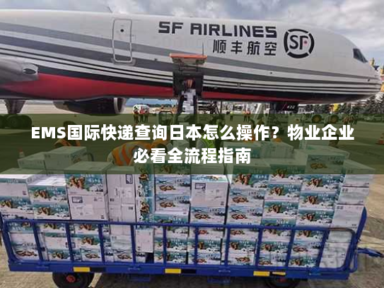 EMS国际快递查询日本怎么操作?物业企业必看全流程指南 EMS国际快递查询日本怎么操作?物业企业必看全流程指南